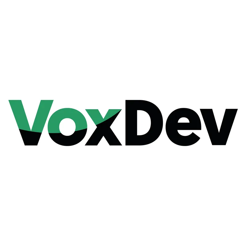 VoxDev Development Economics artwork