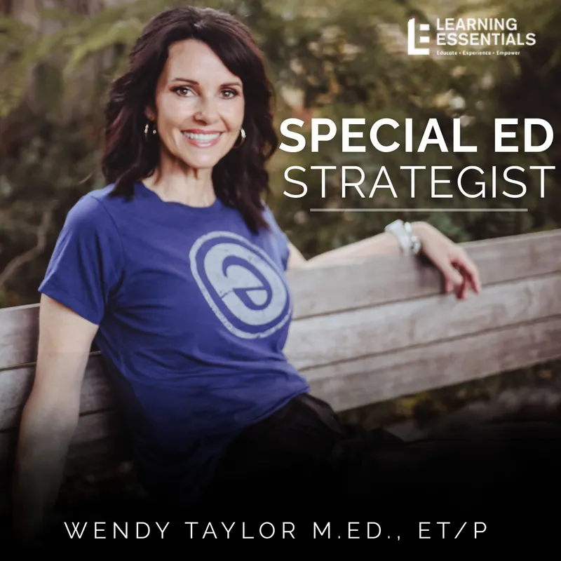 Special Education Strategist: Expert Advice for IEPs, 504 Plans, Dyslexia, Parent Advocacy, Learning Disabilities, Executive Function, Dysgraphia, ADHD, Autism, Neurodivergent artwork