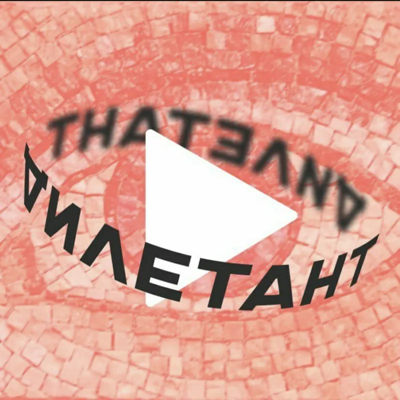 Дилетант artwork