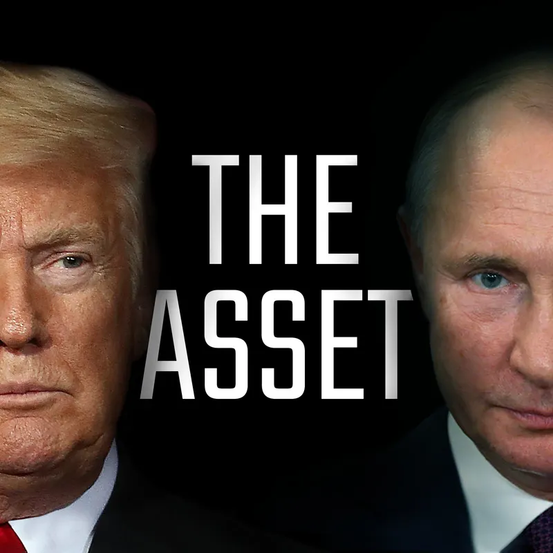 The Asset artwork