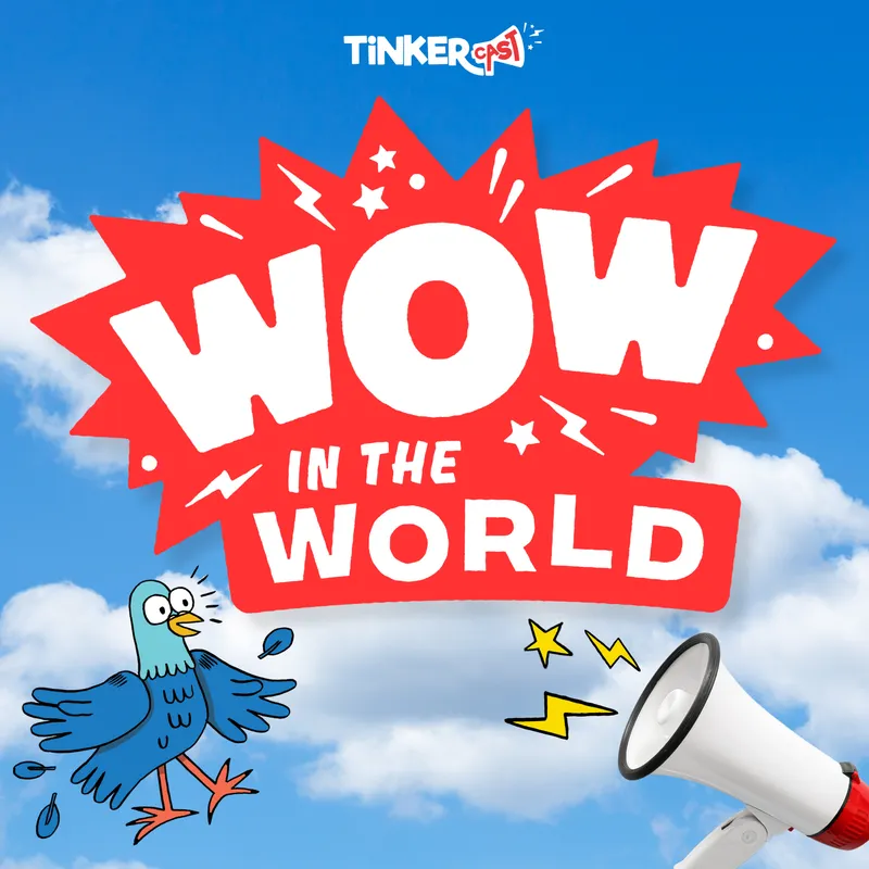 Wow in the World artwork