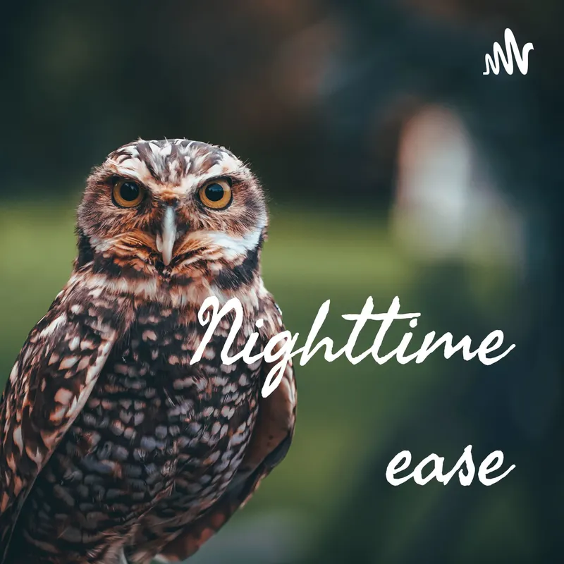 Nighttime ease artwork