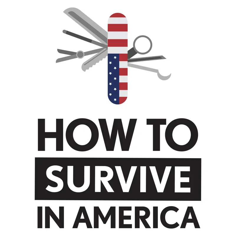 How to Survive in America artwork