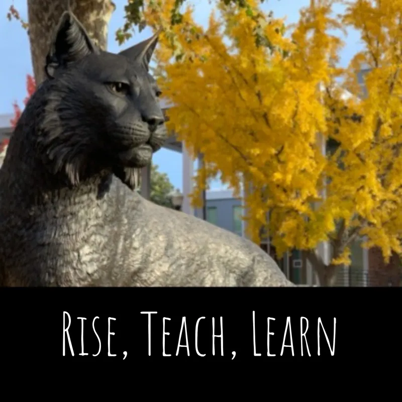 Rise, Teach, Learn artwork