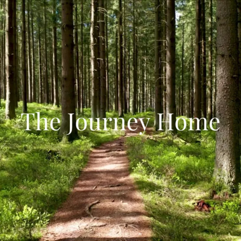 The Journey Home artwork