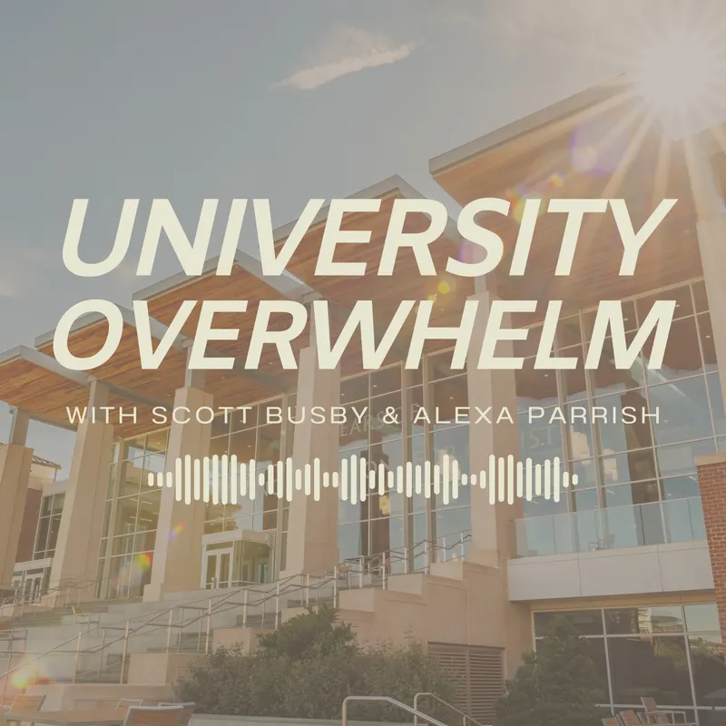 University Overwhelm artwork