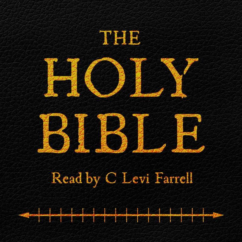 Daily Scripture: Chronological Bible Readings (KJV) artwork