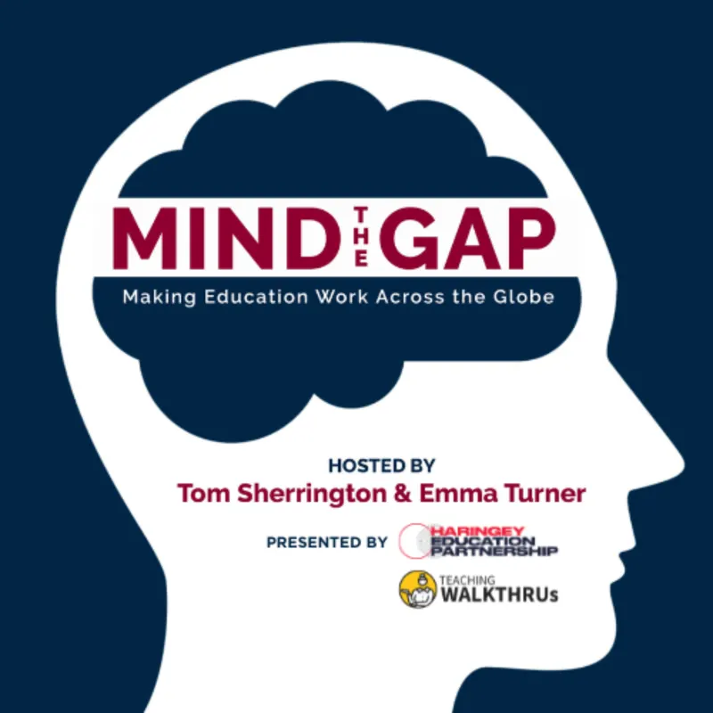 Mind the Gap: Making Education Work Across the Globe artwork