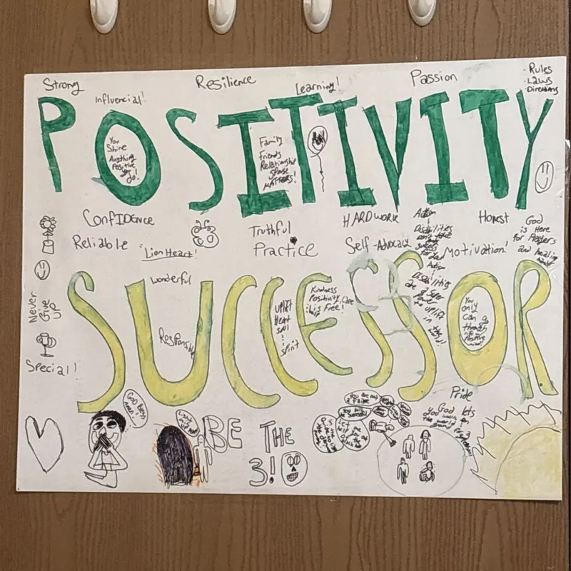 Positivity Successor artwork