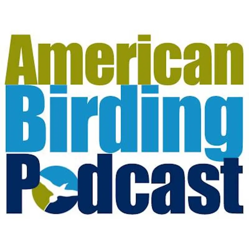 American Birding Podcast artwork