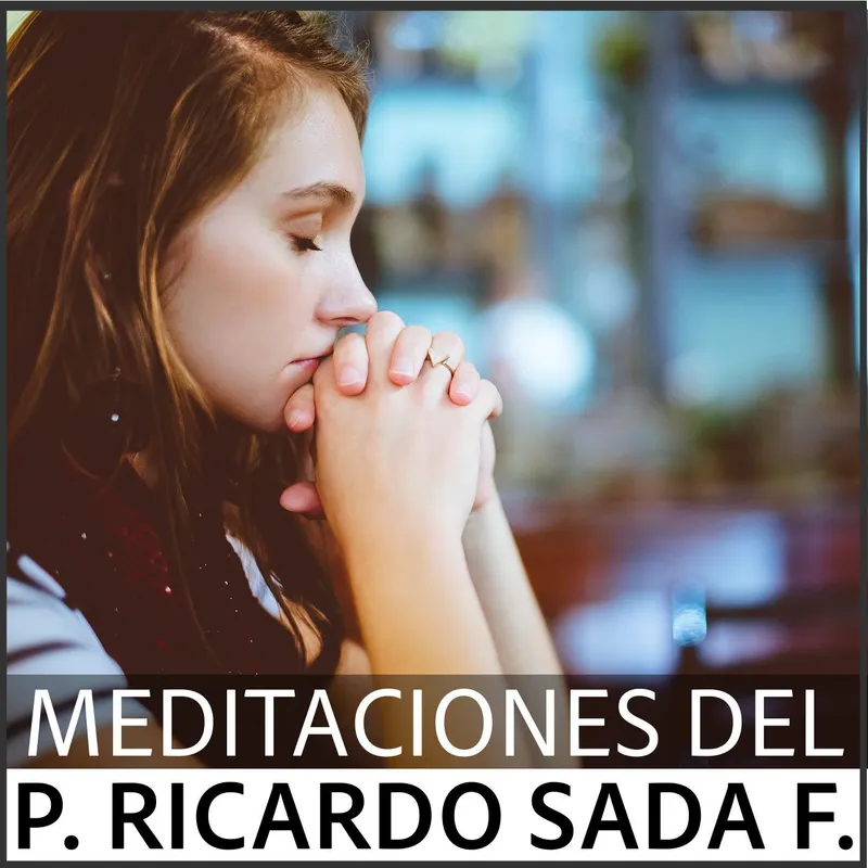 Medita.cc artwork