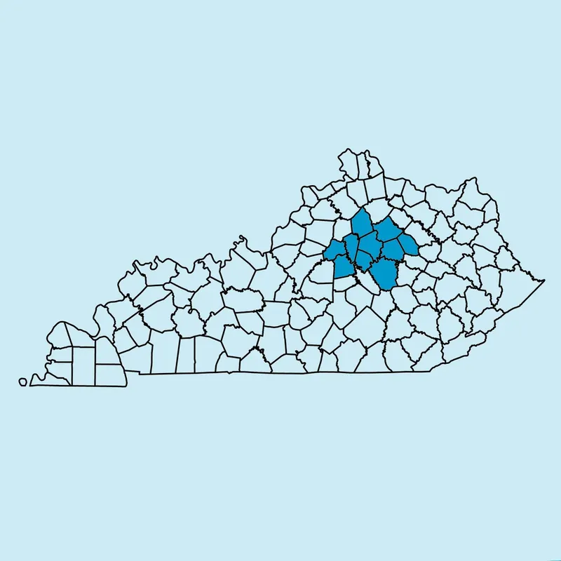 Lexington Newspapers artwork