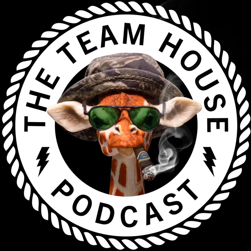 The Team House artwork
