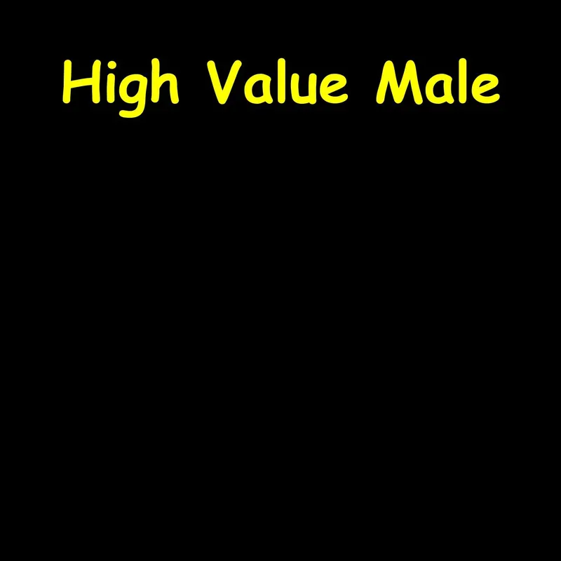 High Value Male | Mindset for Men artwork