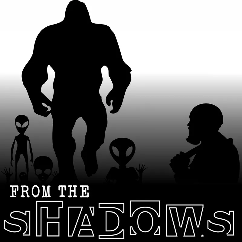From The Shadows artwork