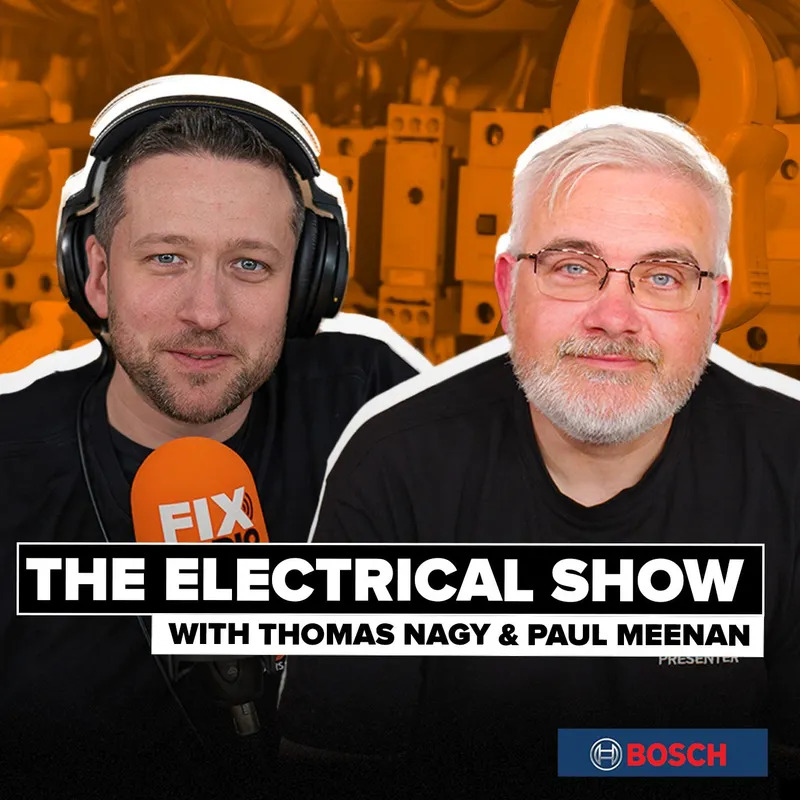 The Electrical Show artwork