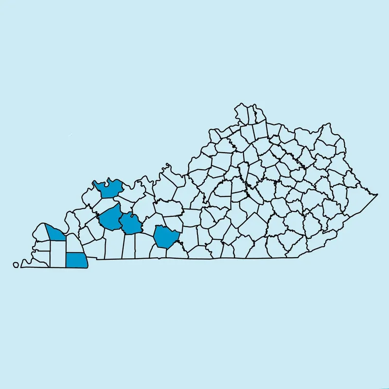Western Kentucky Newspapers artwork