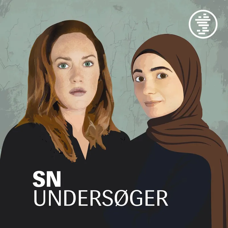 SN Undersøger artwork