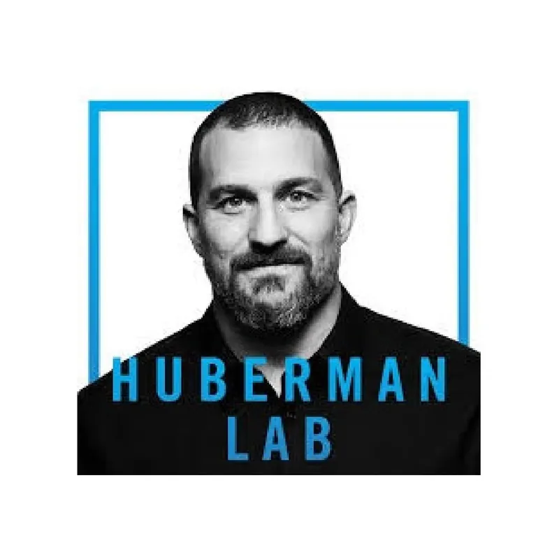 Huberman Lab artwork