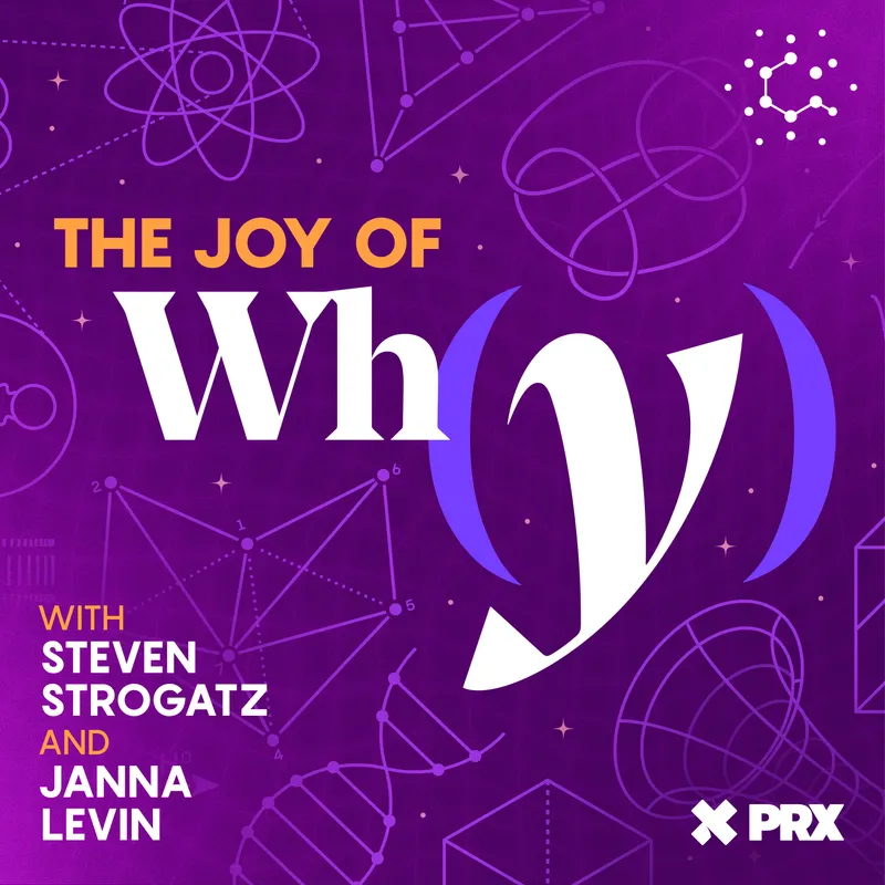 The Joy of Why artwork