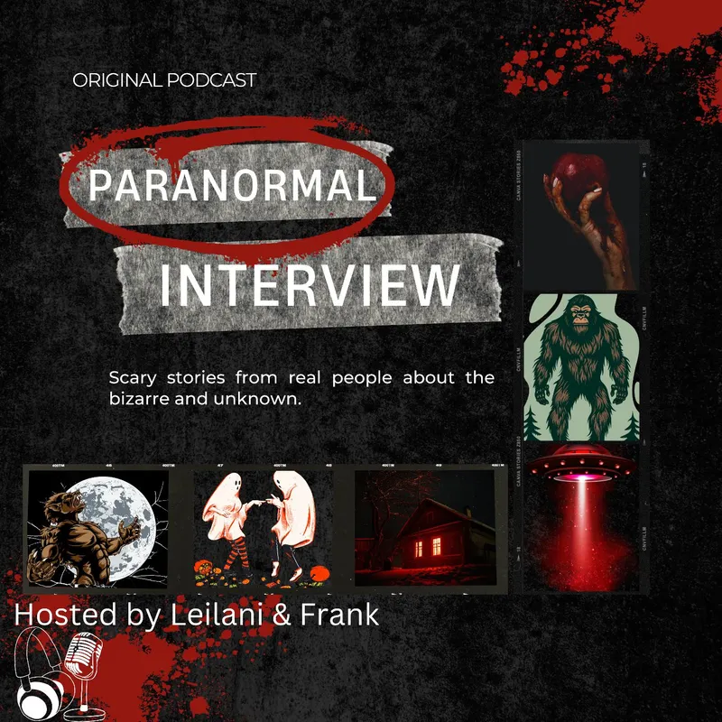 Paranormal Interview artwork