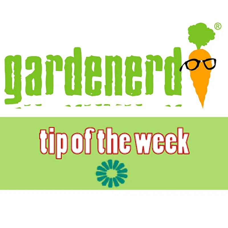 Gardenerd Tip of the Week artwork
