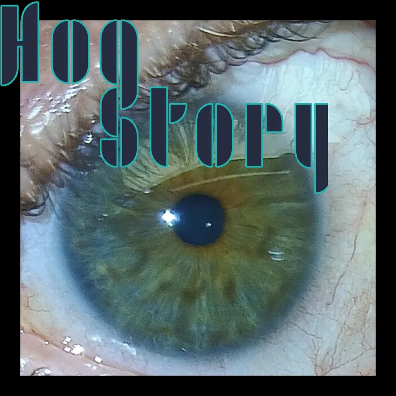 Hog Story artwork