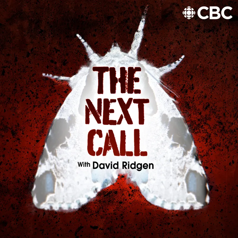 The Next Call with David Ridgen artwork