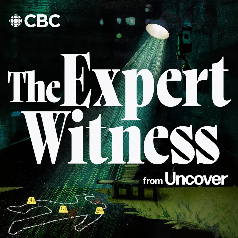 The Expert Witness from Uncover artwork