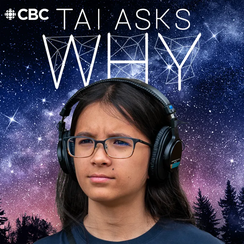 Tai Asks Why artwork