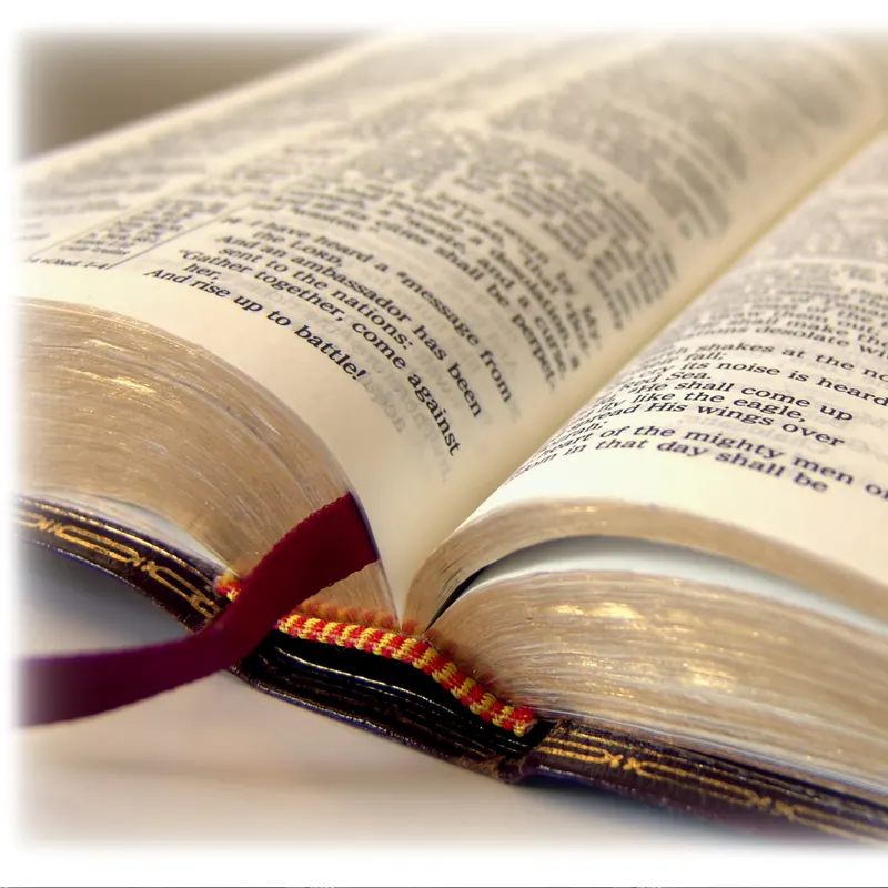 Clear, Understandable Bible Teaching artwork