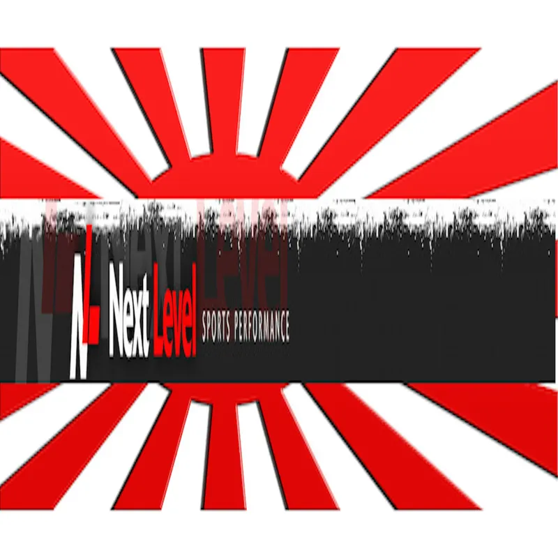 Next Level Rising artwork
