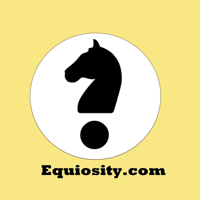 Equiosity artwork