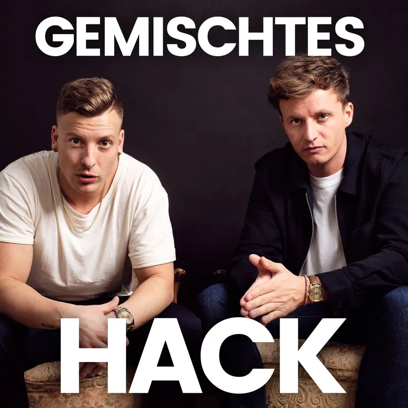 Gemischtes Hack artwork
