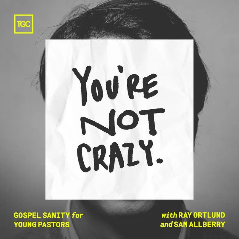 You're Not Crazy artwork