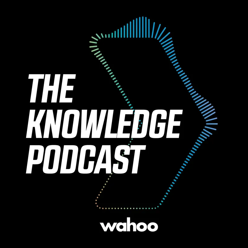 The Knowledge by Wahoo artwork