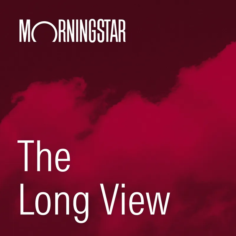 The Long View artwork