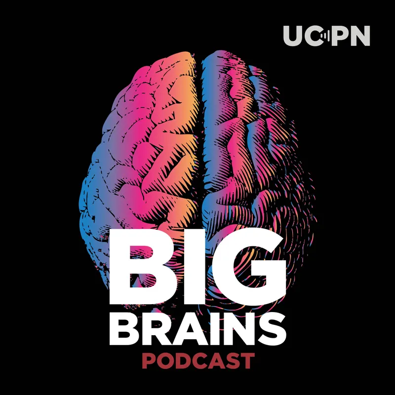 Big Brains artwork