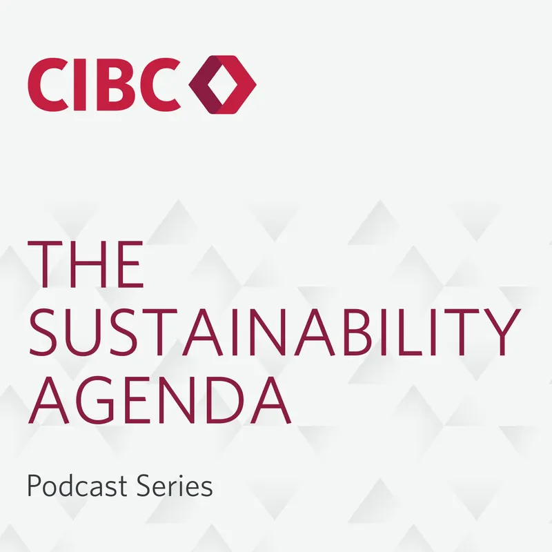 The Sustainability Agenda artwork
