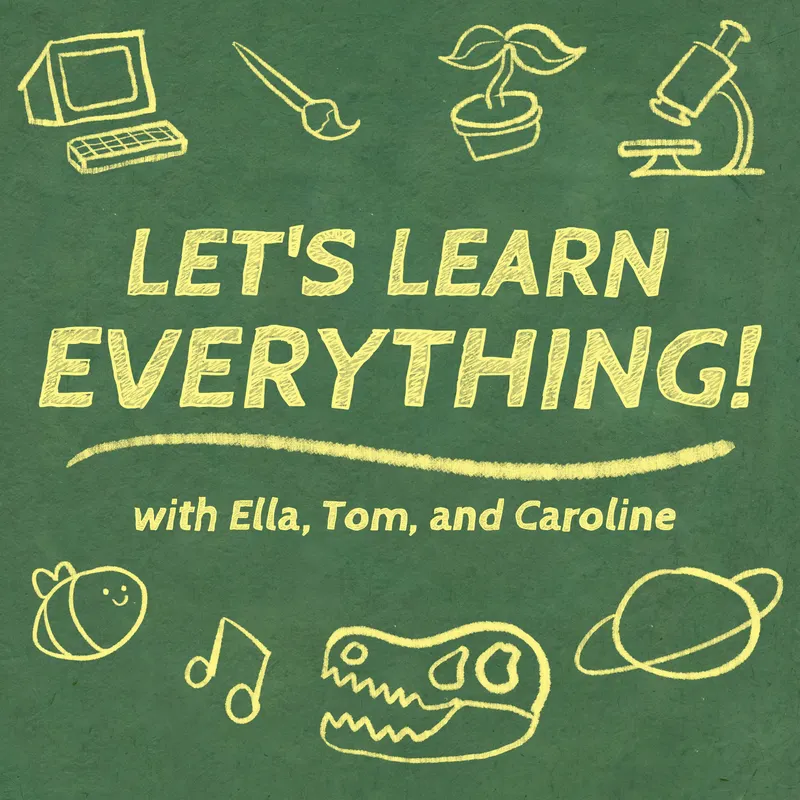 Let's Learn Everything! artwork
