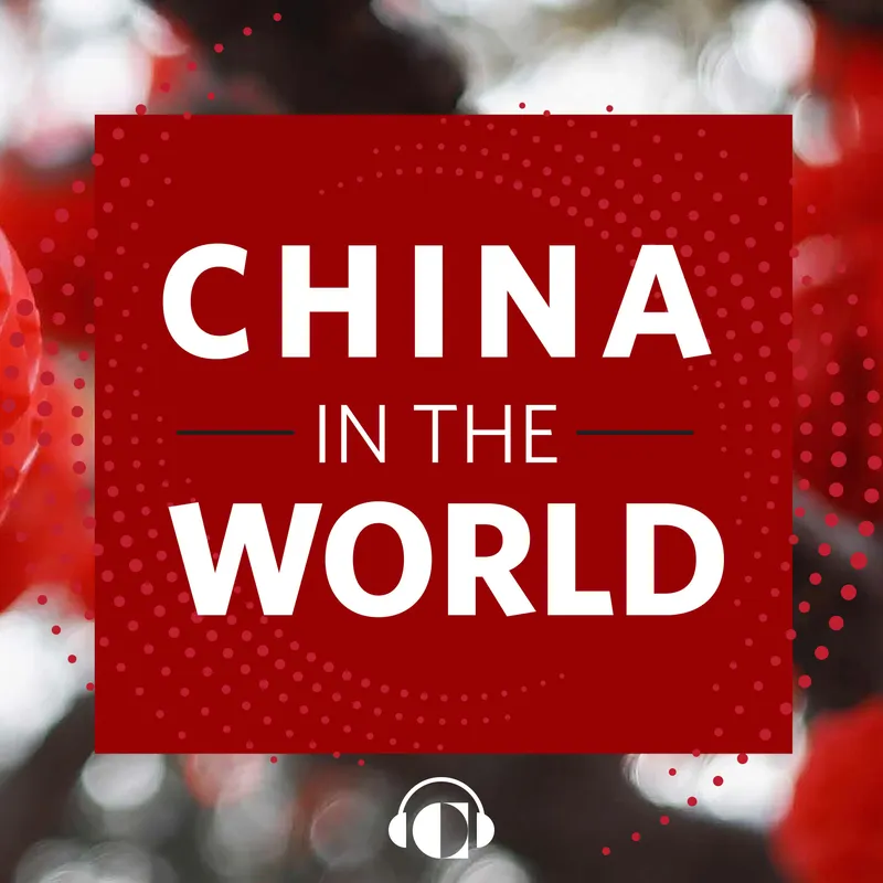 China in the World artwork