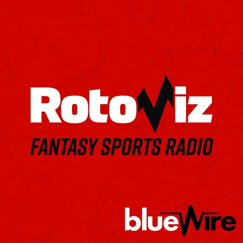 Rotoviz Radio artwork