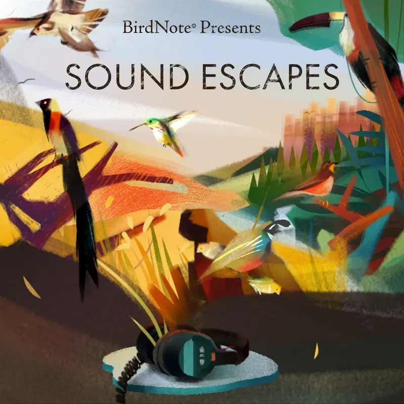 Sound Escapes artwork