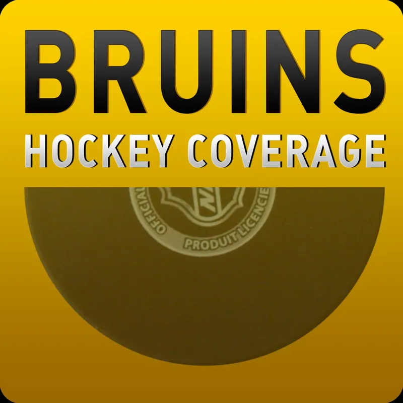 Boston Bruins Hockey artwork