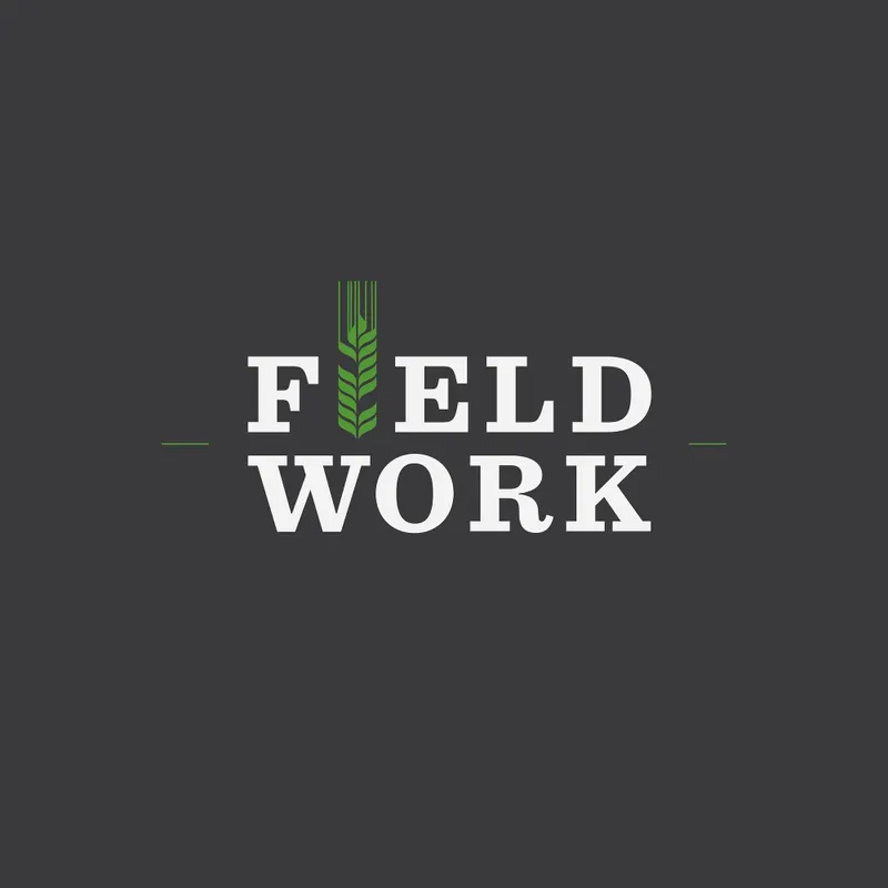 Field Work artwork