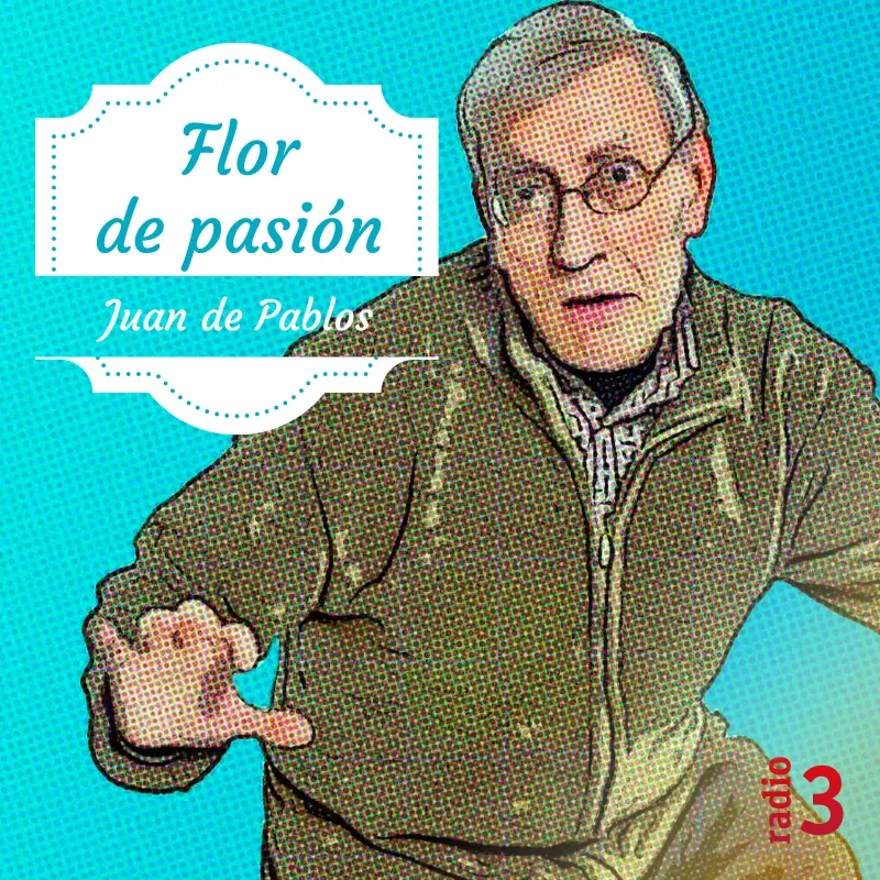Flor de pasión artwork