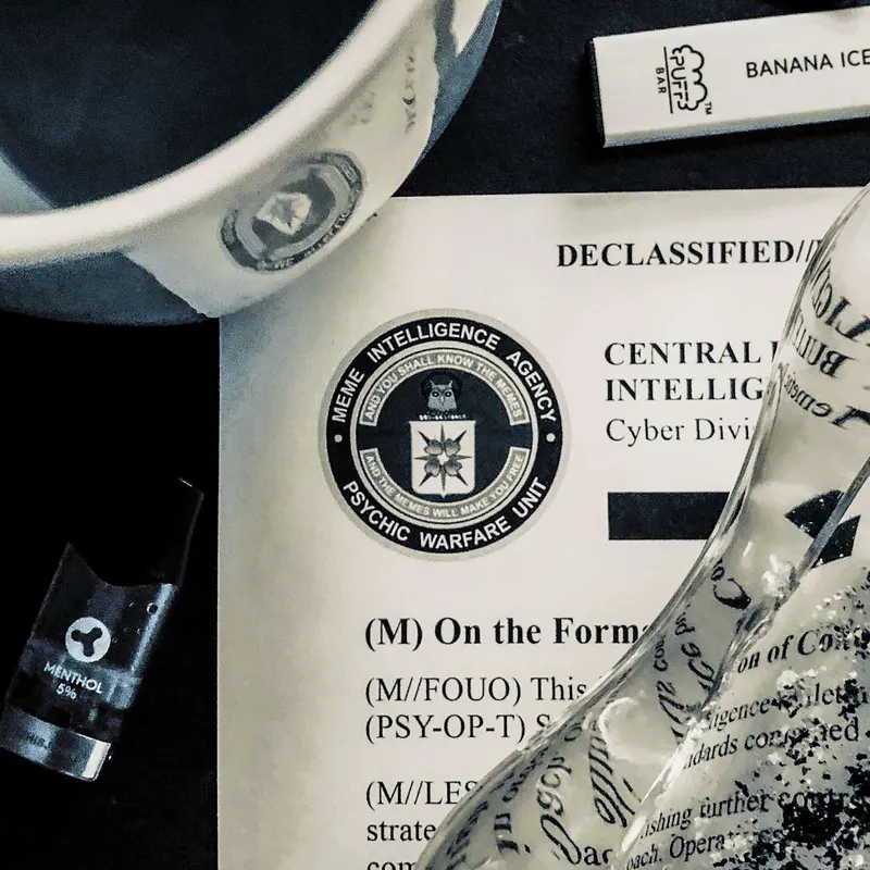 Meme Intelligence Agency artwork