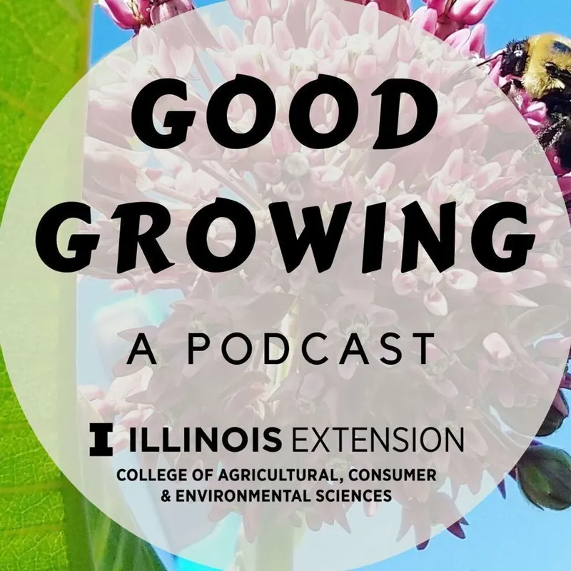 Good Growing artwork