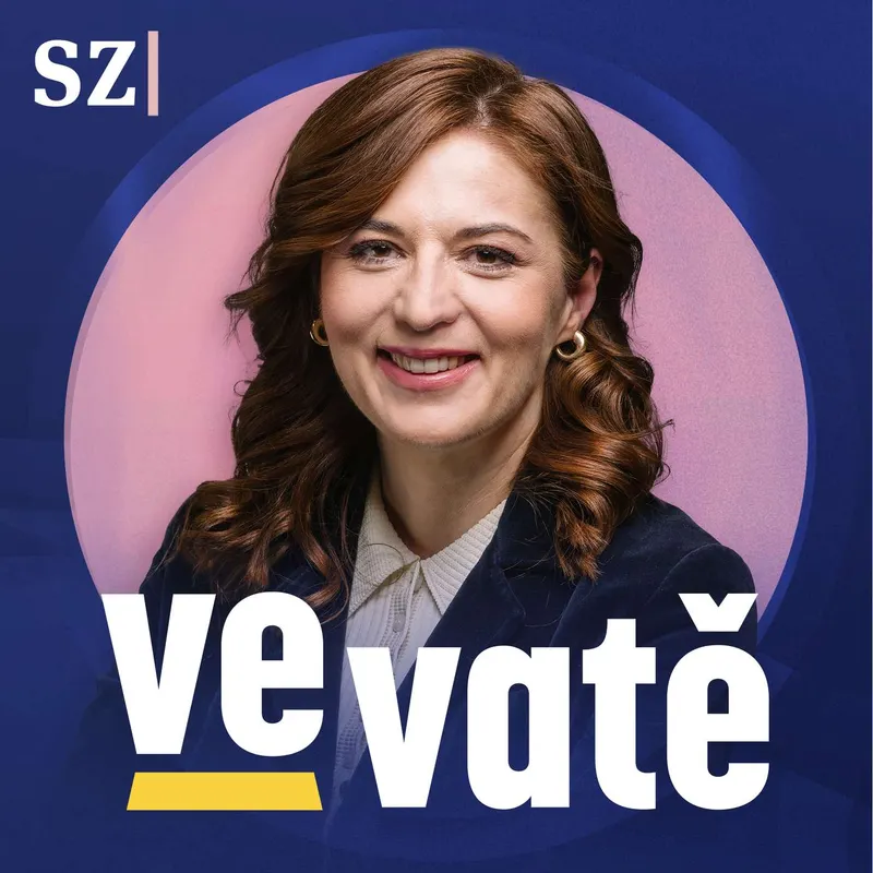 Ve vatě artwork