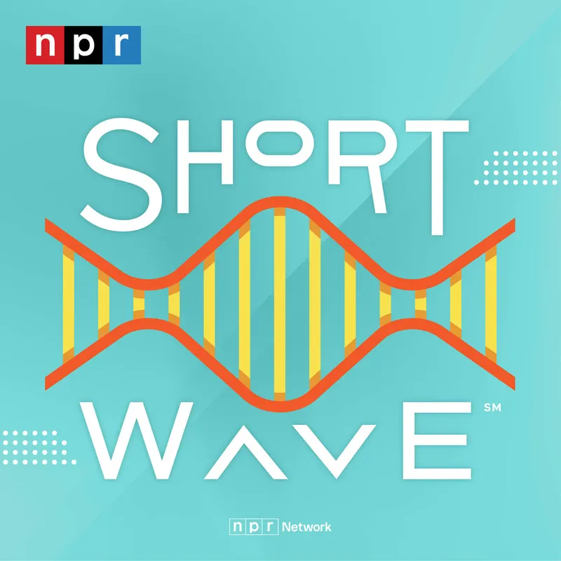 Short Wave artwork